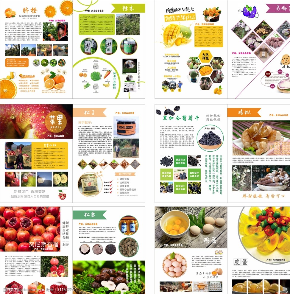 水果农产品册子